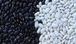 3 ejemplos de carbohidratos