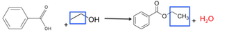 ben