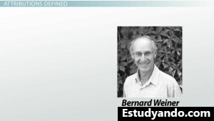 Bernard Weiner