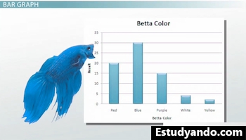 gráfico de barras de datos de betta