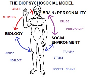 Modelo biopsicosocial