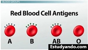 Antígenos de sangre