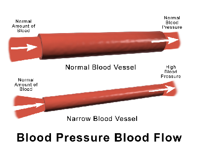 Diagrama de la presión arterial en los vasos sanguíneos.