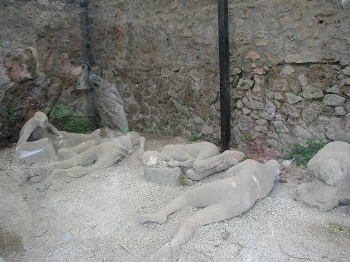 cuerpos