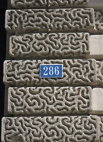 Vermiculación