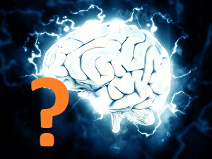 cerebro