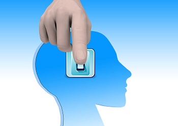 El cerebro