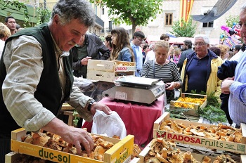 Vendedores y compradores