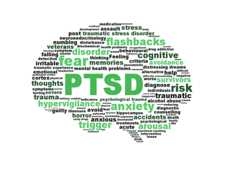 PTSD cerebro