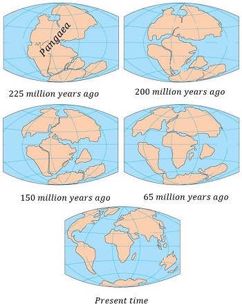 Pangea
