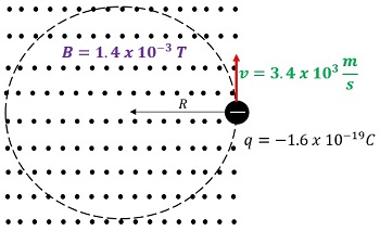 Ex1