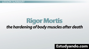 Definición rigor mortis