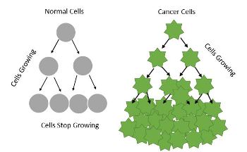 Crecimiento de células cancerosas