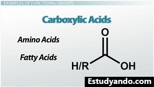 Ácidos carboxílicos