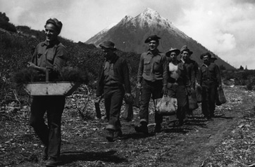 Trabajadores CCC