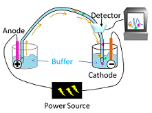 Configuración CE con detector y computadora