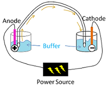 Los electrodos se colocan en el búfer y el búfer fluye cuando se conecta la alimentación.