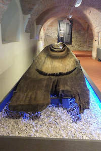 Monoxylon celta