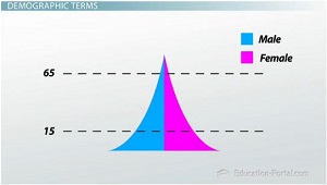 Gráfico que muestra la composición por edades