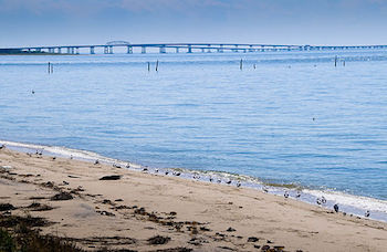 Túnel del puente de la bahía de Chesapeake
