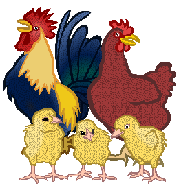 pollos