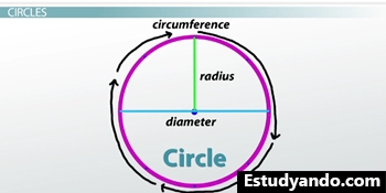 Circunferencia del círculo