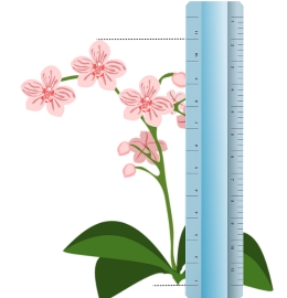 Planta de medición