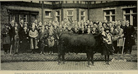 un grupo de escolares y su maestra están afuera con una vaca