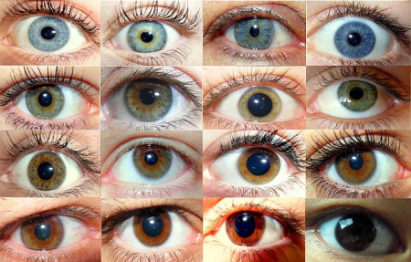 16 fotos de ojos humanos, cada uno con un color de iris diferente.