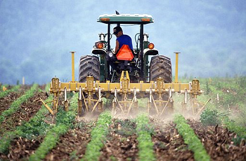 Agricultura Contemporánea