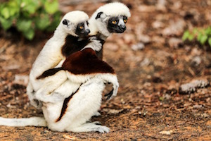 madre e hijo
