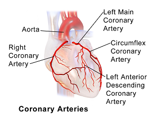 Arterias coronarias