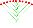 inflorescencia de corimbo
