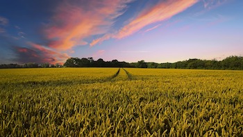https://pixabay.com/en/countryside-harvest-agriculture-2326787/