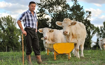 Trabajo rural