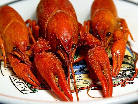 Tres cangrejos grandes, de color rojo brillante y de aspecto delicioso, con pinzas grandes y antenas largas.