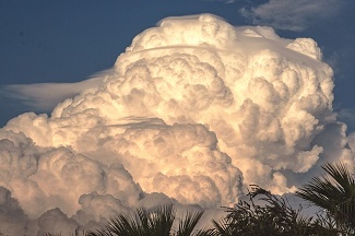nube