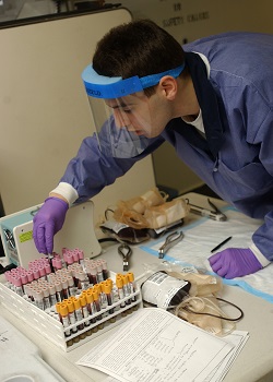 laboratorio