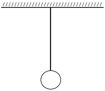 d5