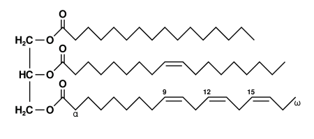 estructura