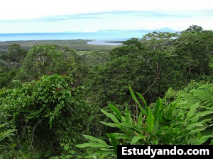 Selva tropical de Daintree y Gran Barrera de Coral