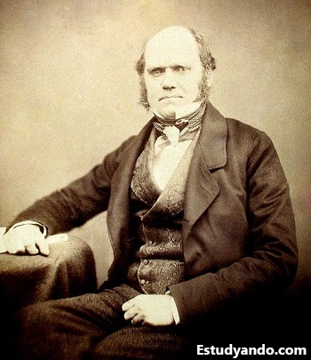 Darwin