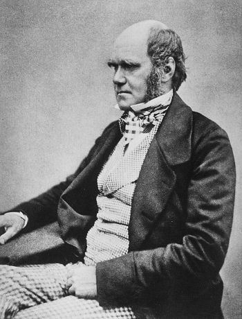 retrato de charles darwin
