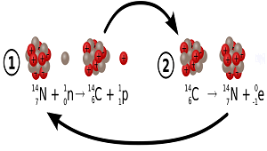 Produção de carbono 14 seguido pela decomposição do carbono 14 pela produção de partículas beta