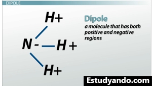 Ejemplo de momento dipolo, NHsub3