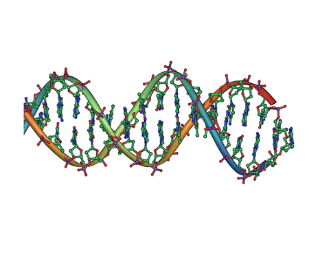 dibujo de la estructura doble hélice del ADN