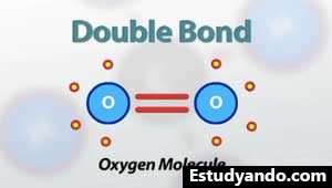 Diagrama de doble enlace