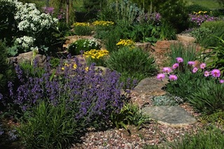 Jardín de agua baja