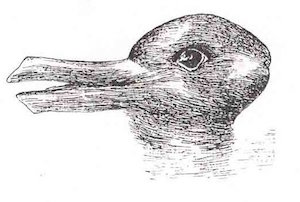 Ilusión conejo-pato