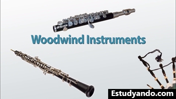instrumentos de viento de madera